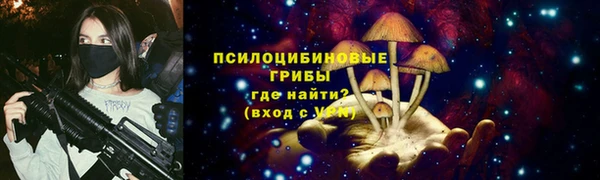 spice Козловка