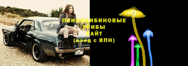 ешки Корсаков