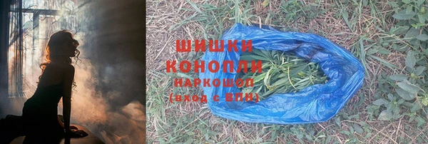 spice Козловка