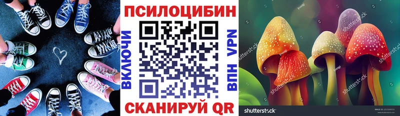 мега ссылки  Кумертау  Галлюциногенные грибы Psilocybe 